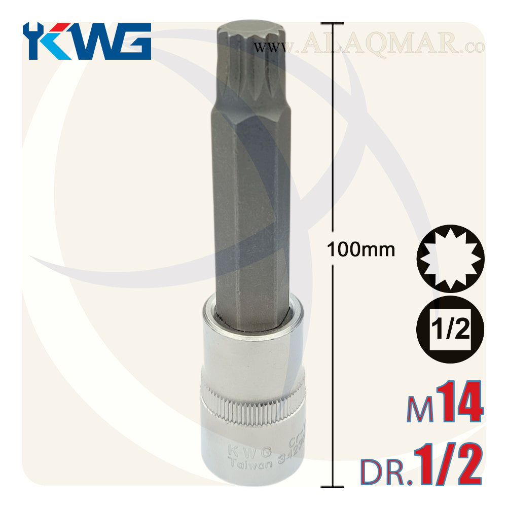 لقمة رباط الن نجمة مشرشرة طويلة M14 مربع 1/2بوصة طول 100ملي CrV M.34230214 KWG