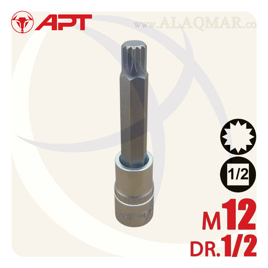 لقمة رباط الن نجمة مشرشرة طويلة M12 مربع 1/2بوصة طول 100ملي CrV 129012MD APT